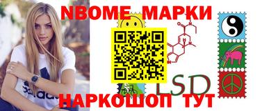 стафф Новозыбков