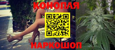 стафф Новозыбков