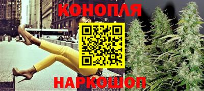 стафф Новозыбков