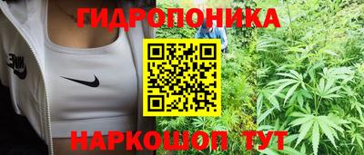 стафф Новозыбков