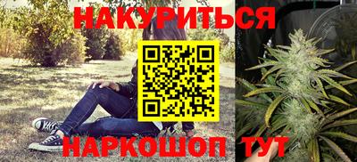 стафф Новозыбков