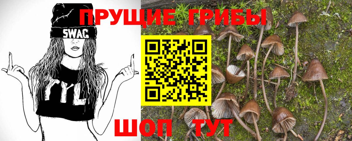 Галлюциногенные грибы GOLDEN TEACHER Усть-Илимск