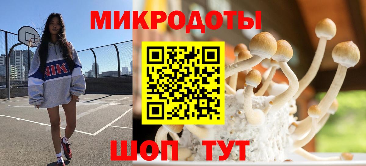 Усть-Илимск  Псилоцибиновые грибы Psilocybine cubensis  Вход с VPN 